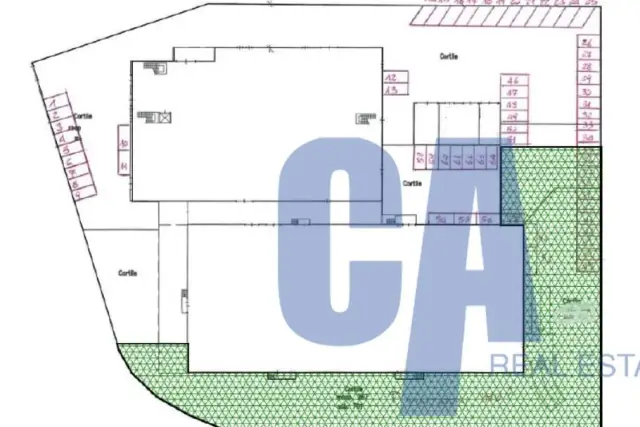 main planimetry real estate image