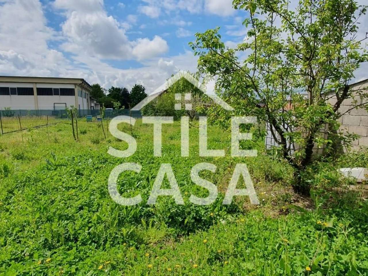 immagine annuncio 6 di 10