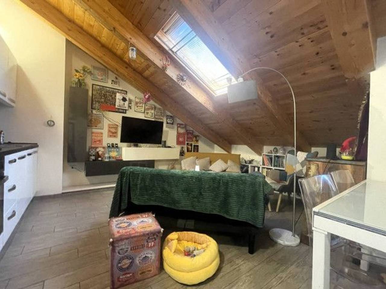 immagine annuncio 12 di 15