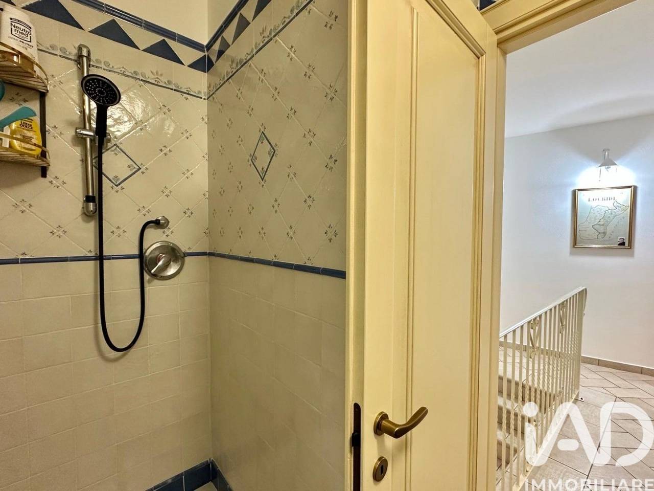 immagine annuncio 11 di 14