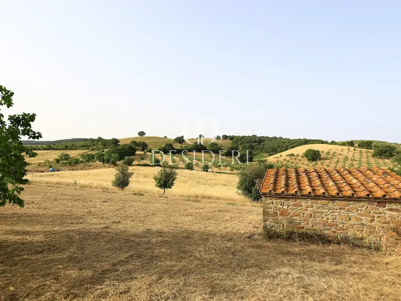 Azienda agricola in Strada delle Campore 58100 Grosseto, Grosseto, {3} - Foto 2