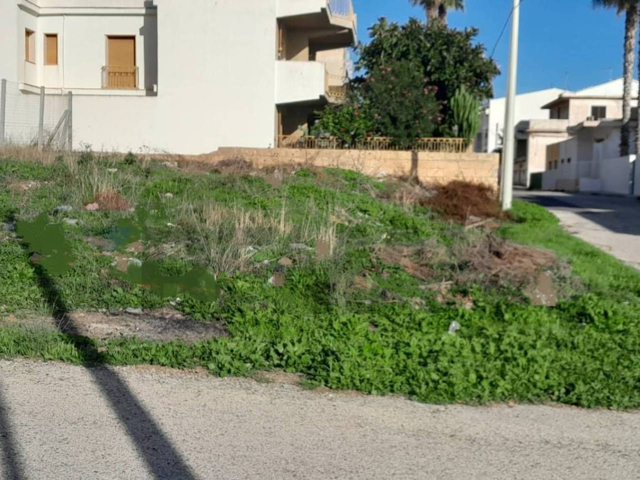 immagine annuncio 1 di 12