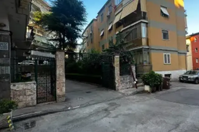 insertion image