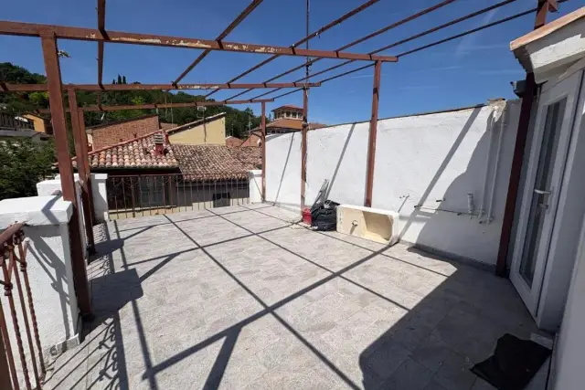insertion image