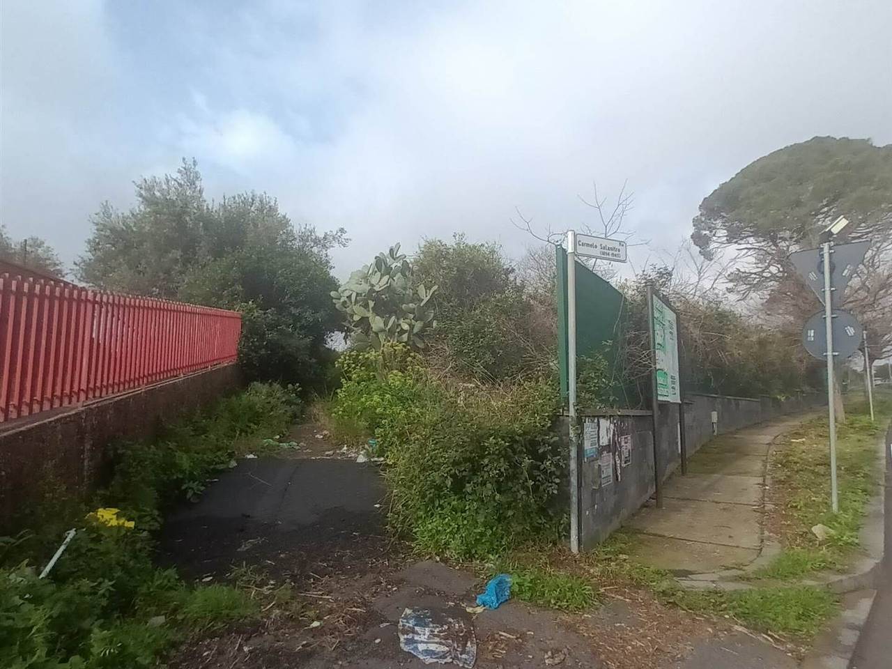 immagine annuncio 8 di 15