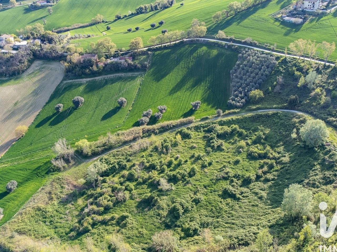 immagine annuncio 9 di 14