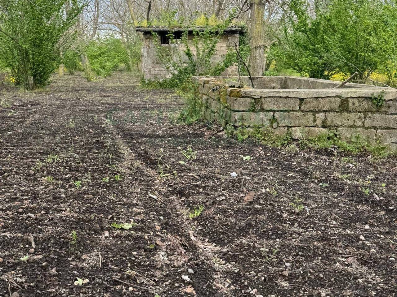 immagine annuncio 4 di 6