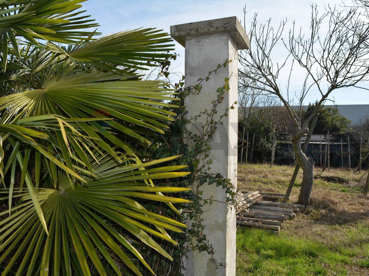 immagine annuncio 13 di 14