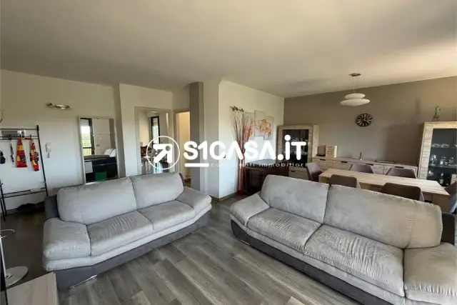 insertion image