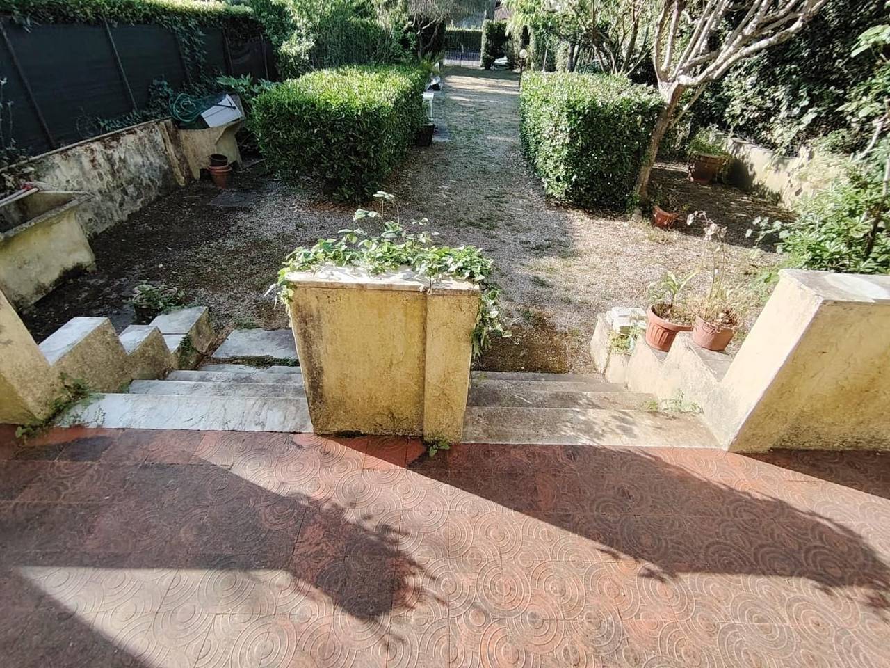 immagine annuncio 2 di 12