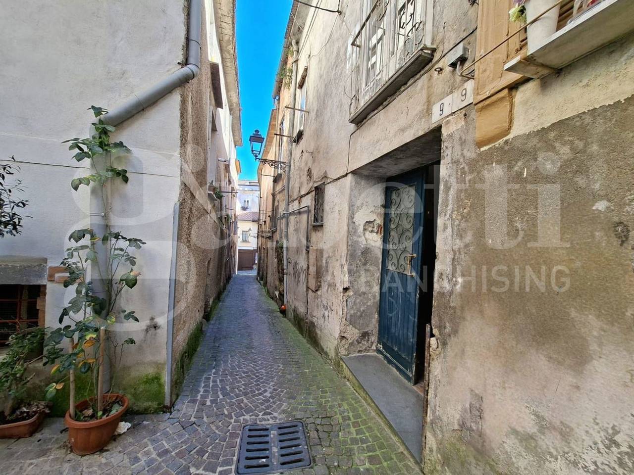 immagine annuncio 1 di 14