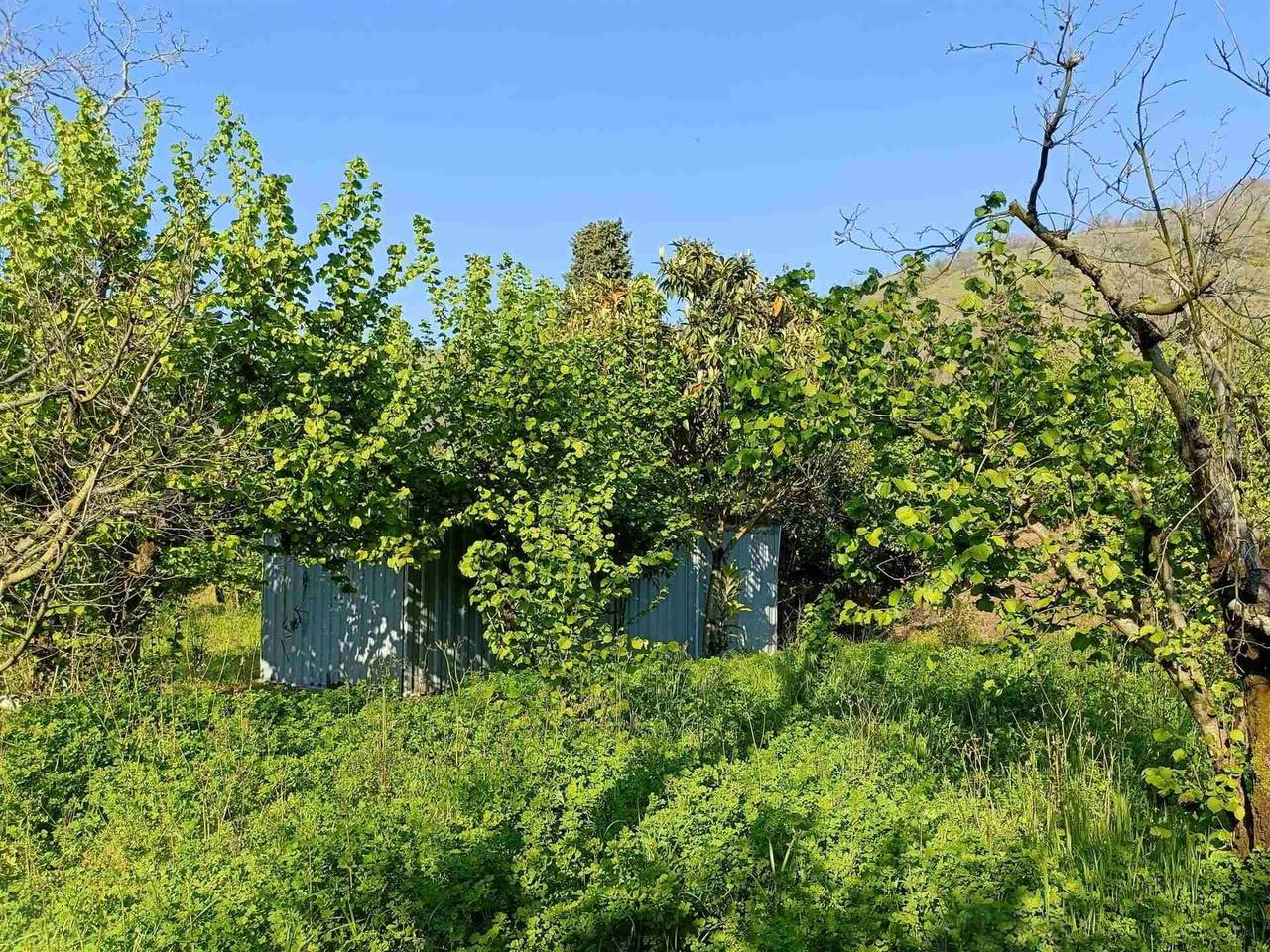 immagine annuncio 5 di 9