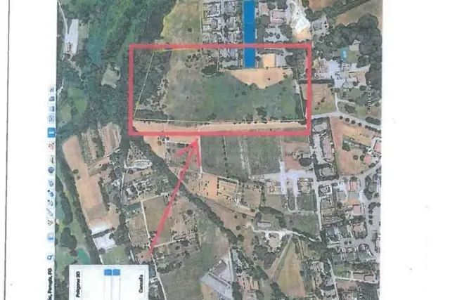 insertion image