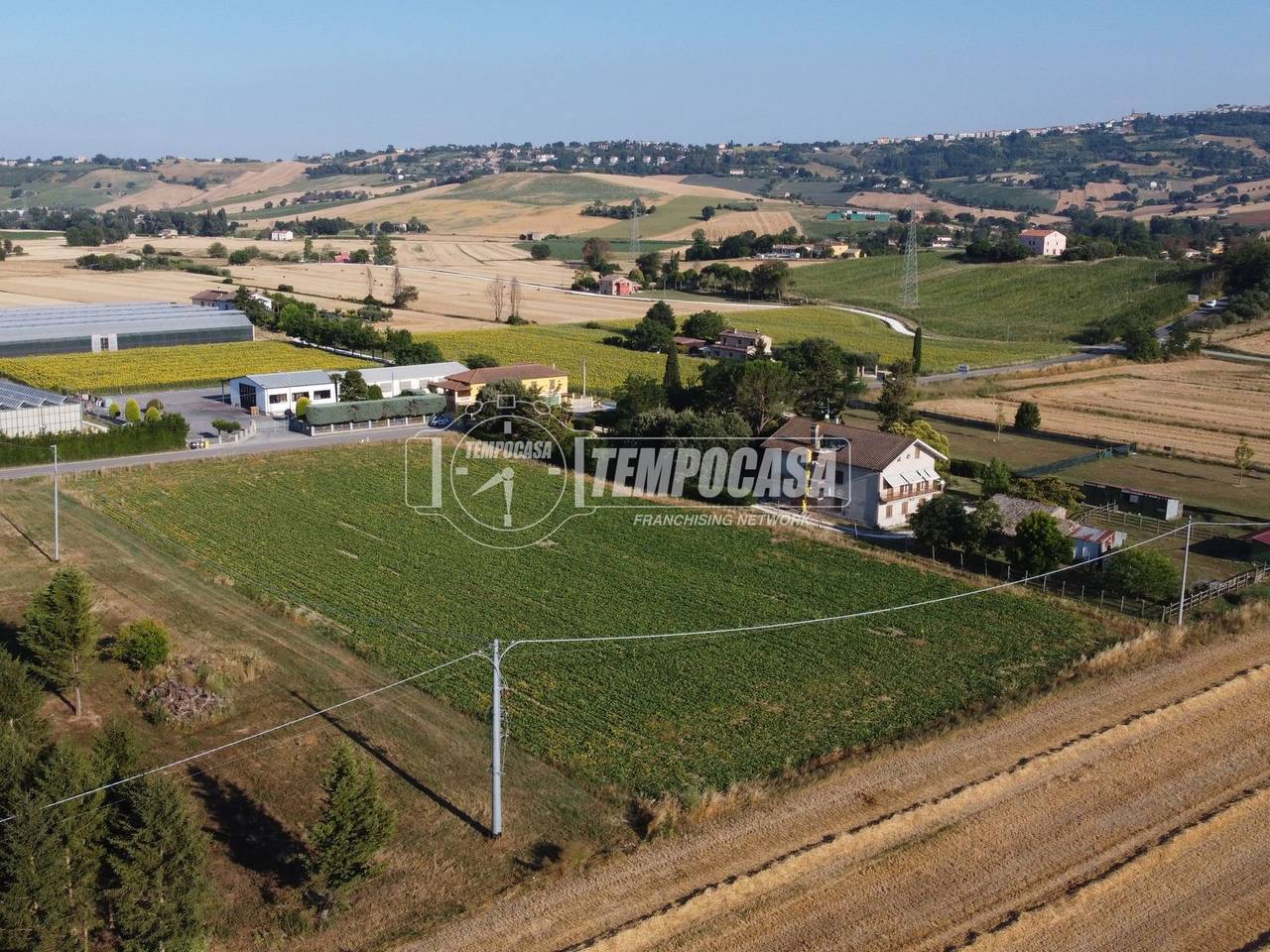immagine annuncio 2 di 11