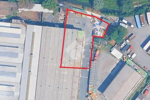 insertion image