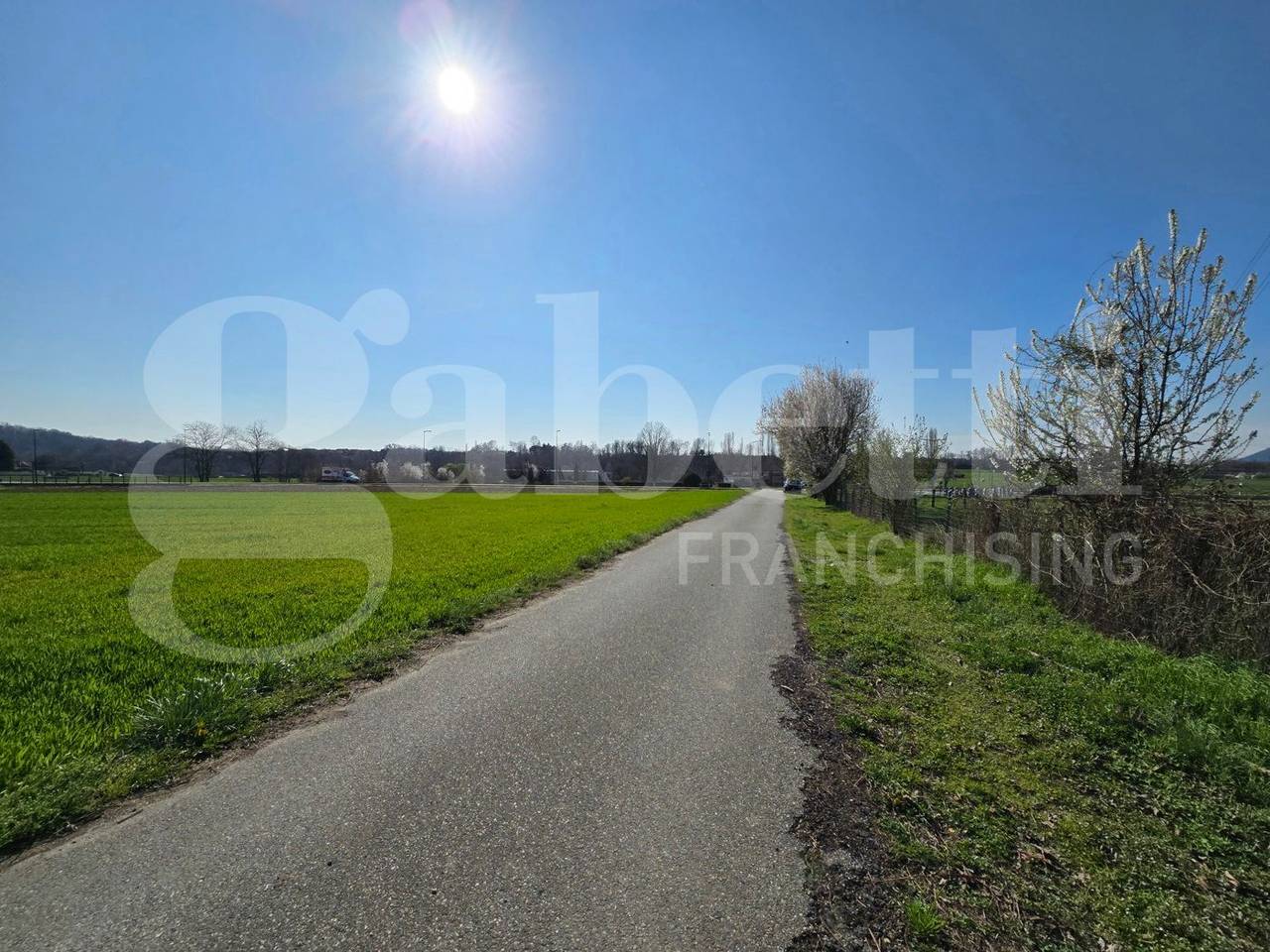 immagine annuncio 8 di 13