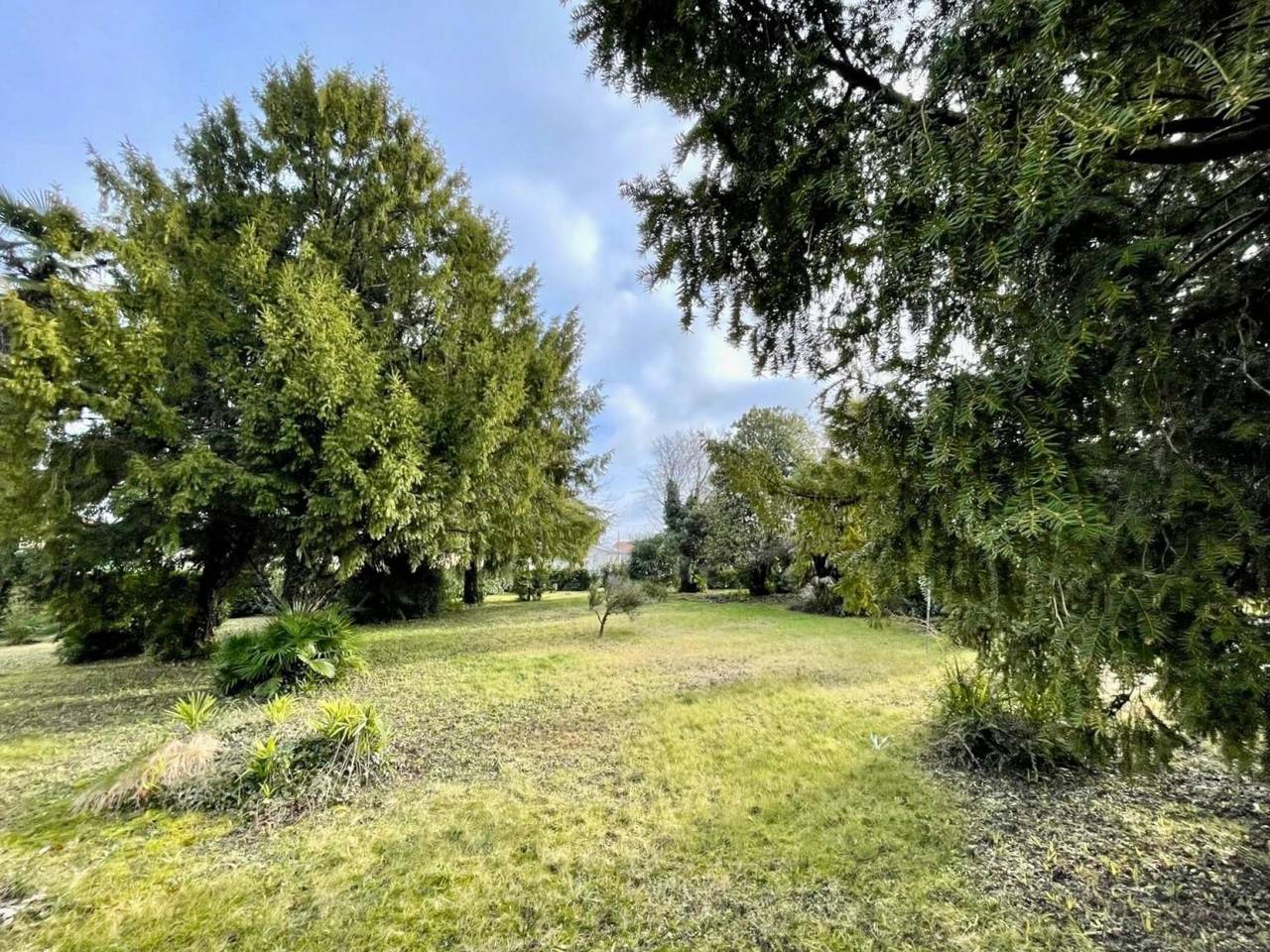 immagine annuncio 2 di 6