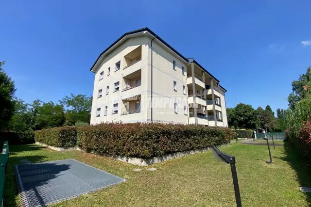 insertion image
