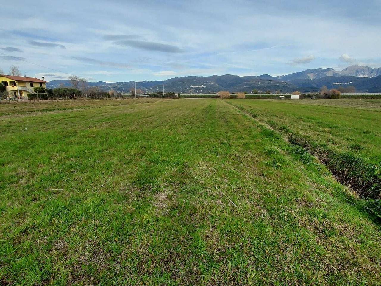 immagine annuncio 1 di 2