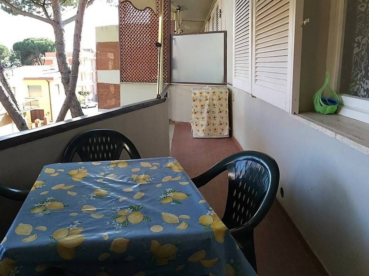 immagine annuncio 4 di 8