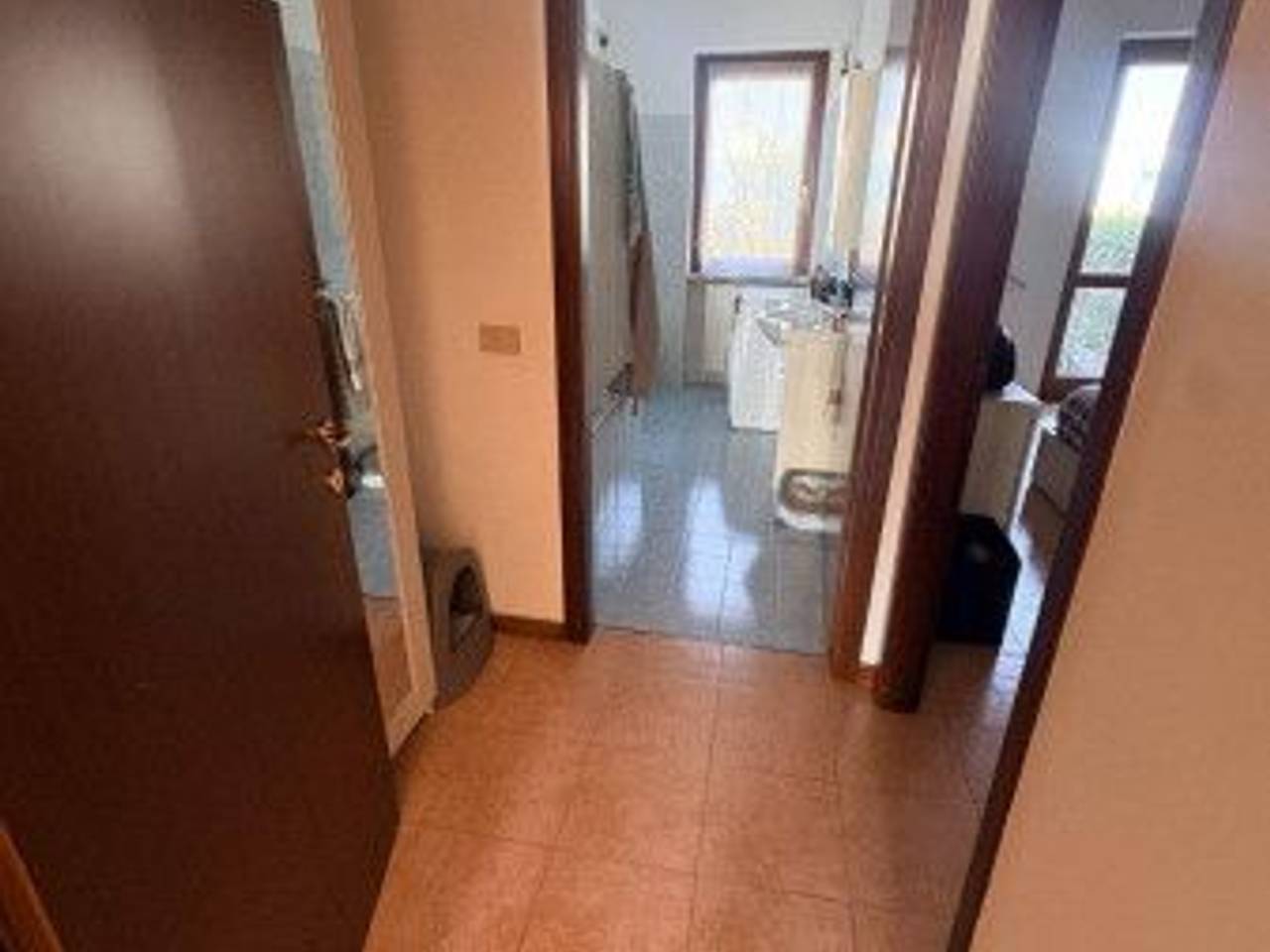 immagine annuncio 3 di 7