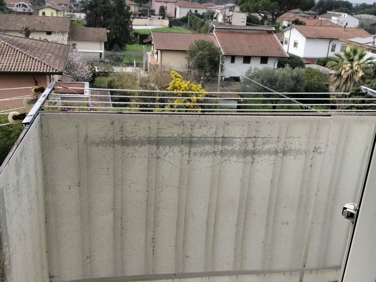 immagine annuncio 11 di 14