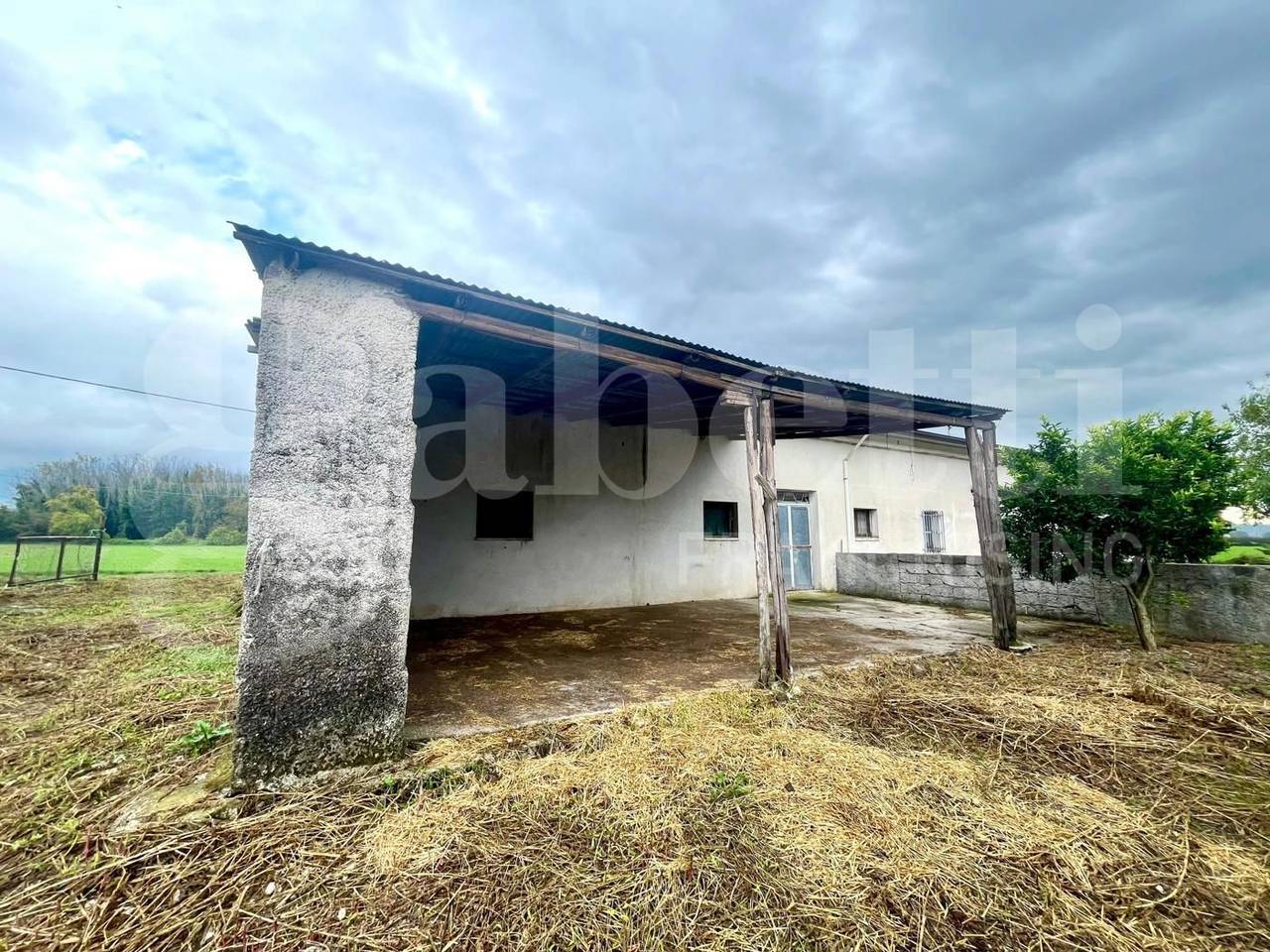 immagine annuncio 2 di 11