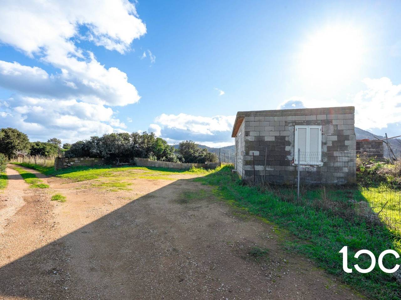 immagine annuncio 6 di 11