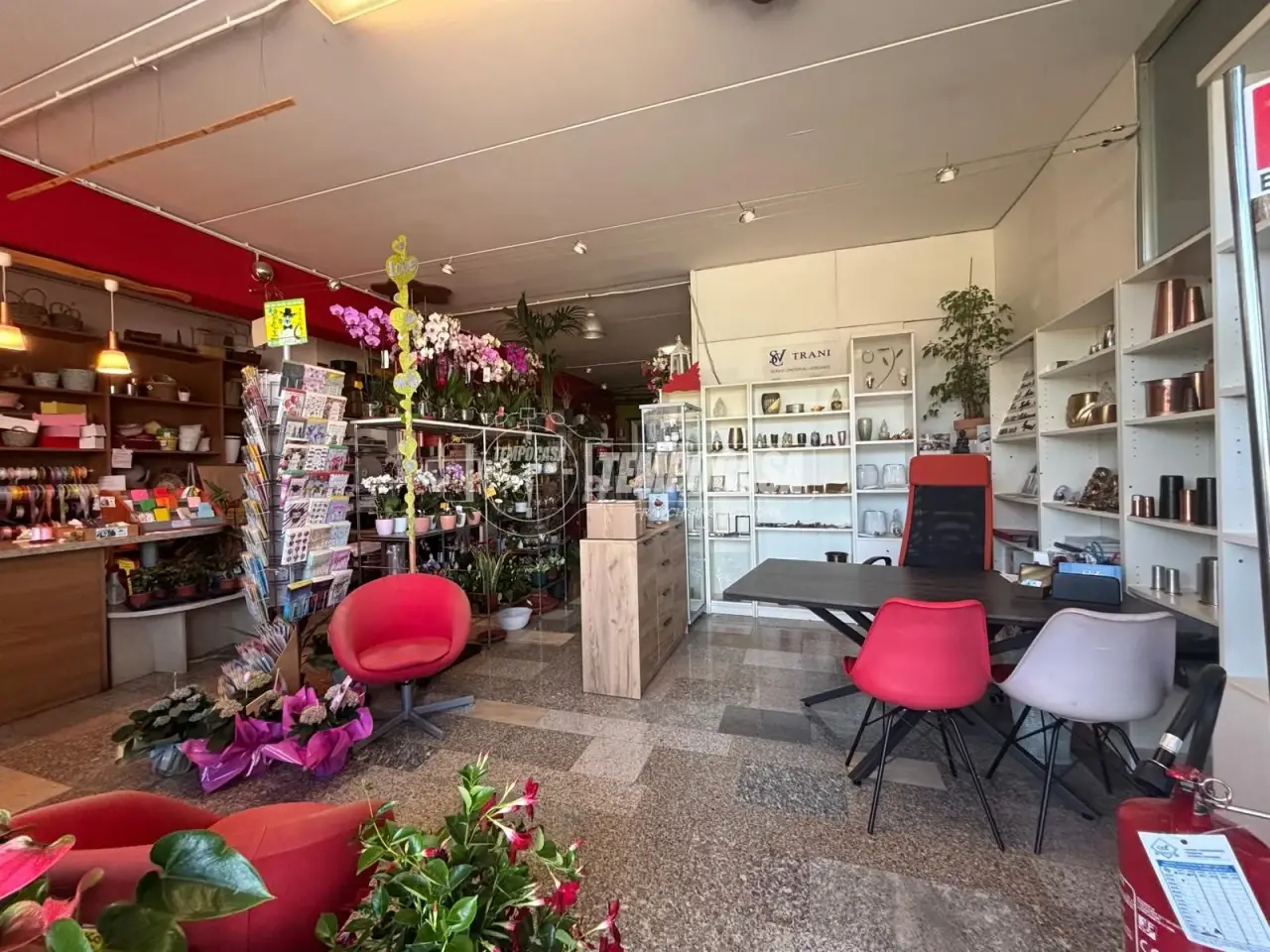 Esercizio commerciale in Via Circonvallazione 1, Pisano, {3} - Foto 2
