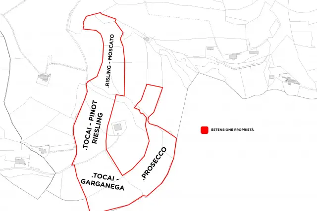 main planimetry real estate image