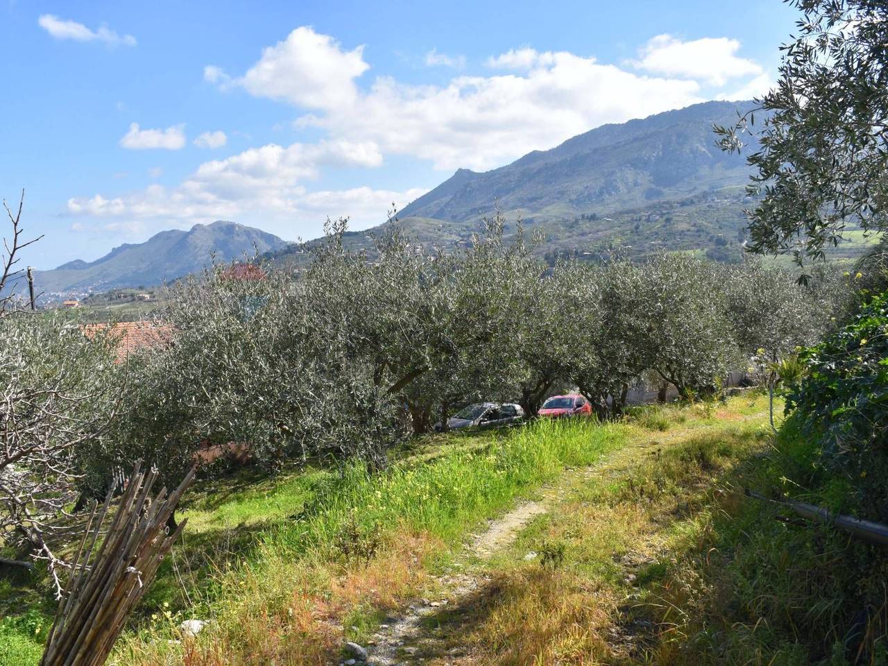 immagine annuncio 5 di 14