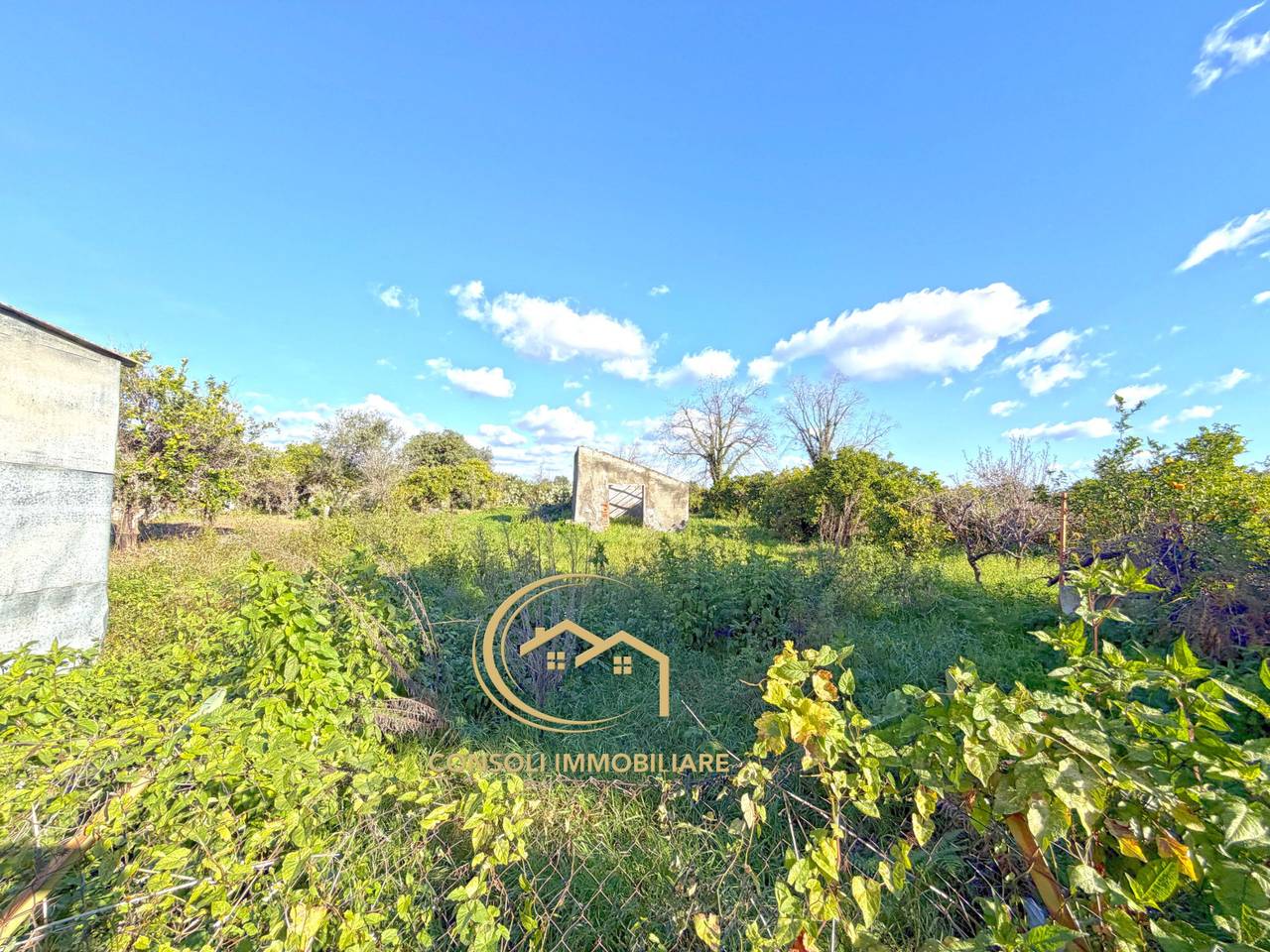 immagine annuncio 6 di 7