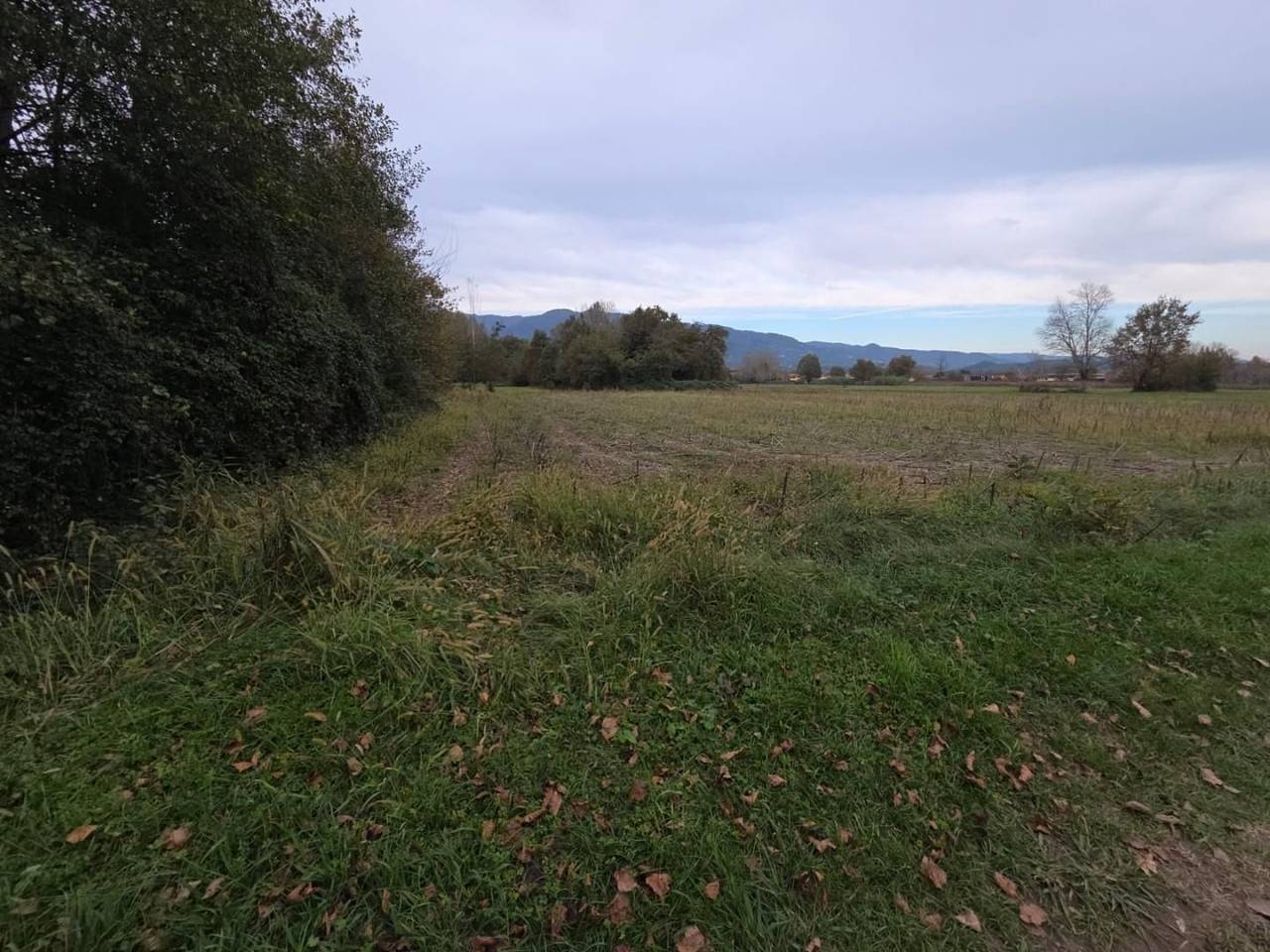 immagine annuncio 1 di 4