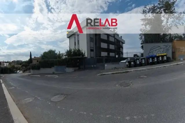 insertion image