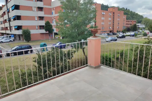 insertion image