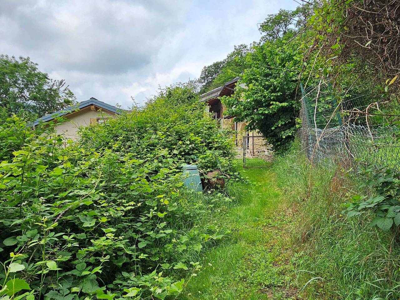 immagine annuncio 5 di 15