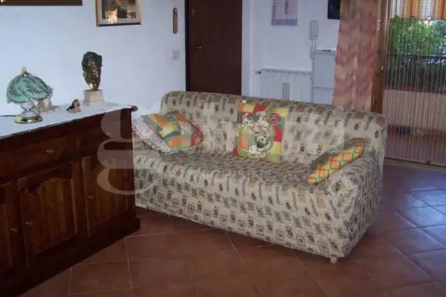 insertion image