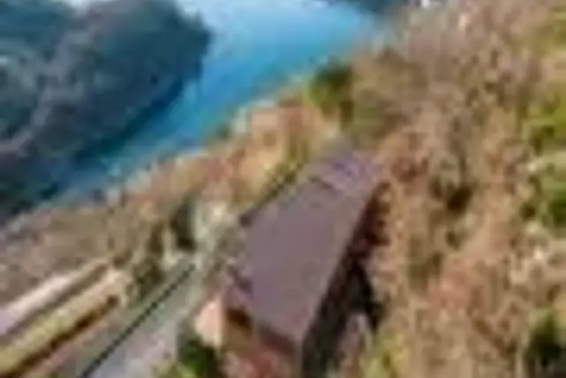 insertion image