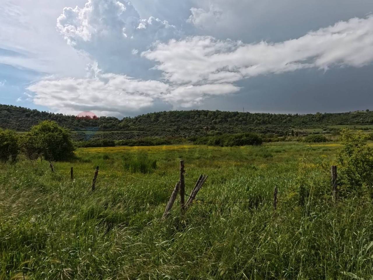 immagine annuncio 4 di 11