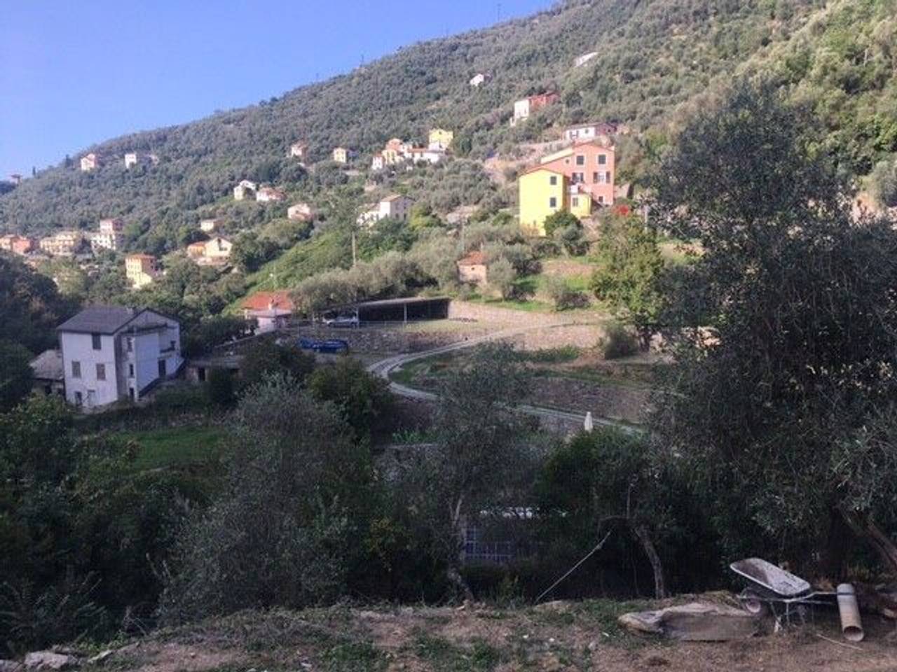 immagine annuncio 6 di 12