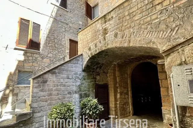 insertion image