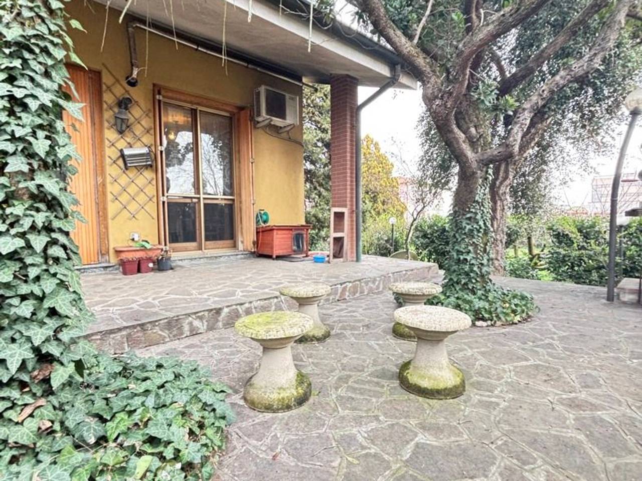 immagine annuncio 5 di 15