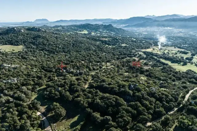 Terreno agricolo in Località Aratena, Telti - Foto 1