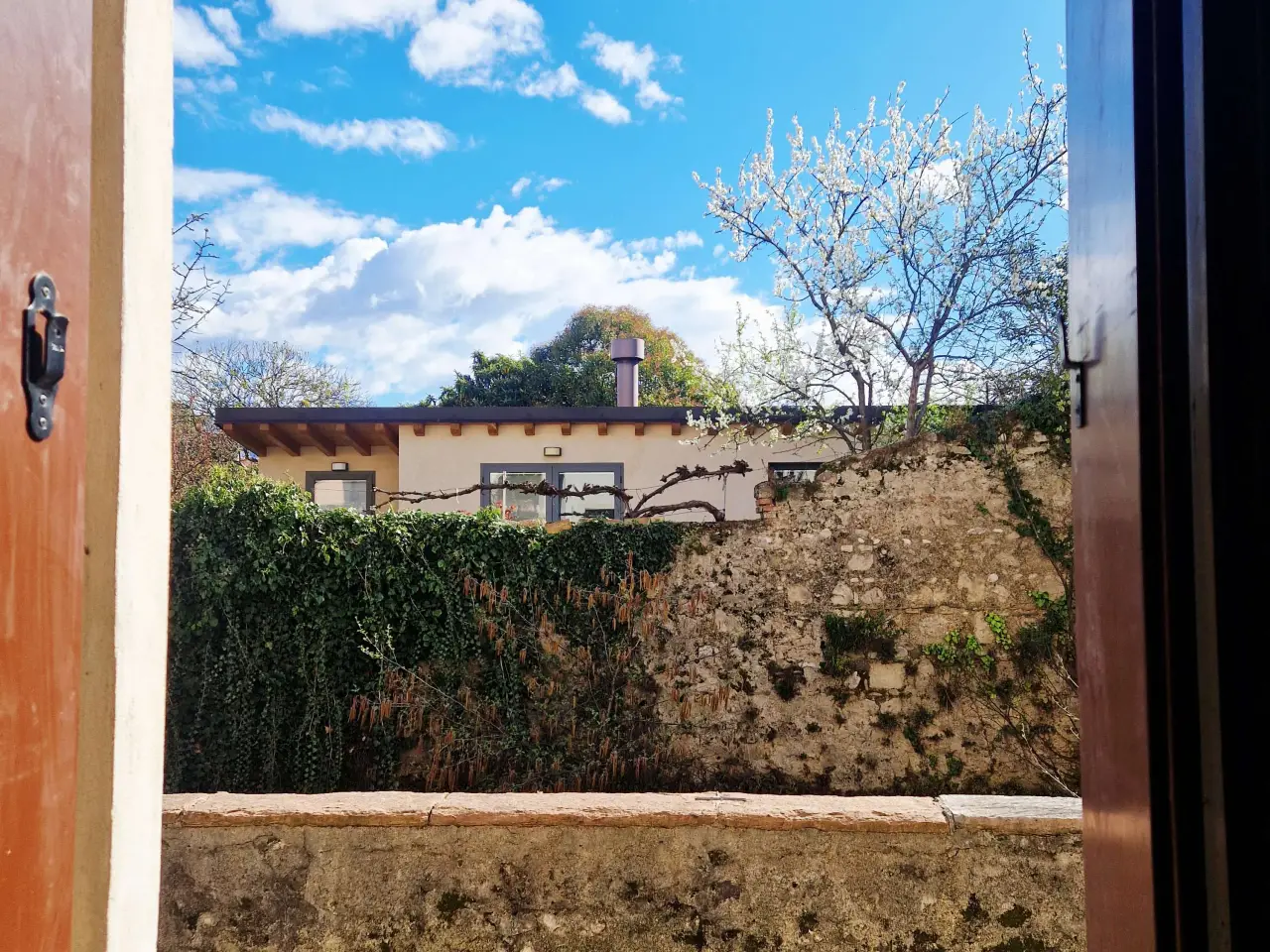 Negozio in , Vittorio Veneto, {3} - Foto 1