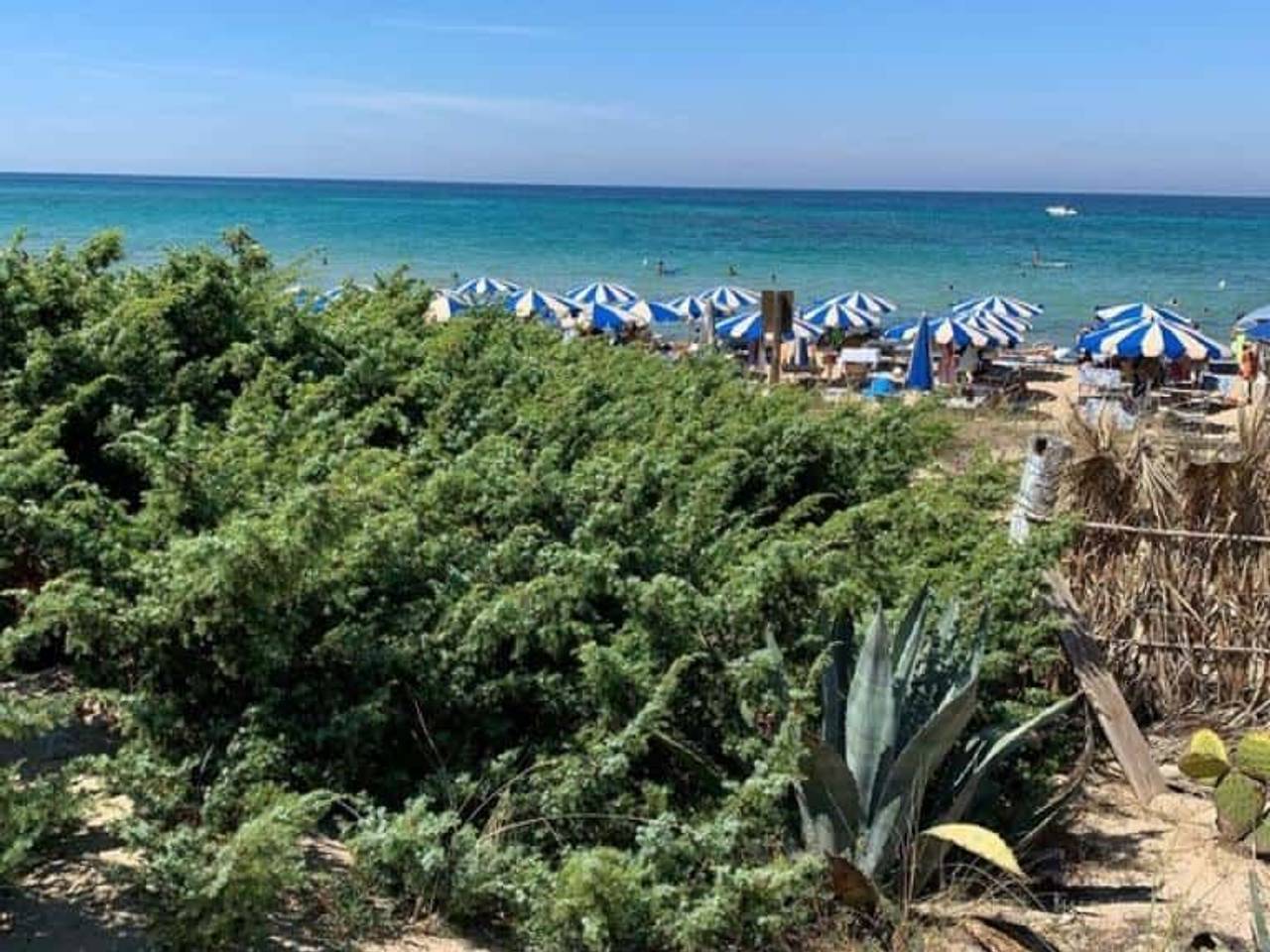 immagine annuncio 13 di 15