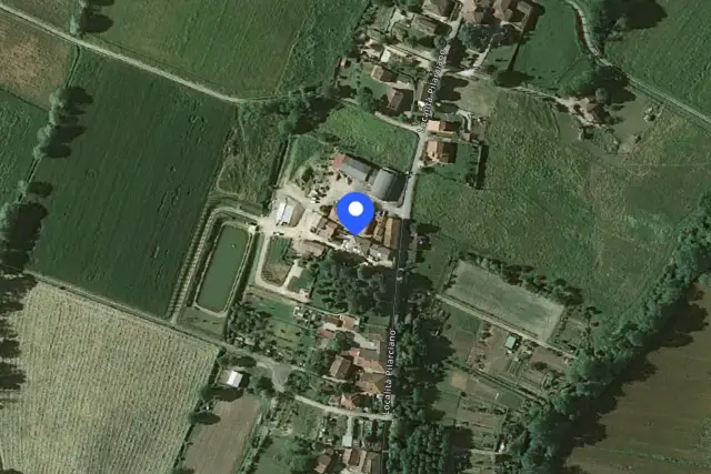 insertion image