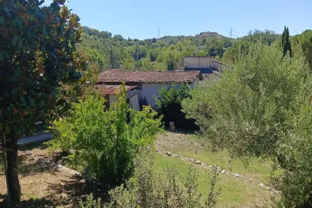 insertion image