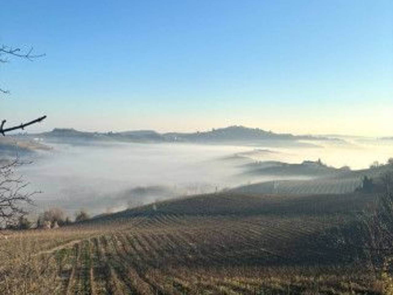 immagine annuncio 12 di 13