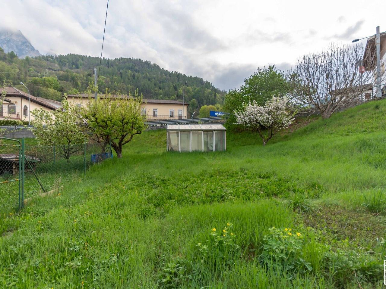 immagine annuncio 11 di 14