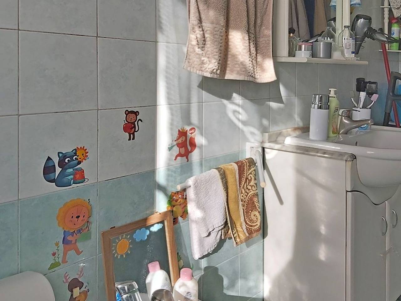 immagine annuncio 5 di 12